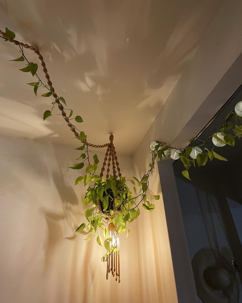 Curso Luminária Floresta