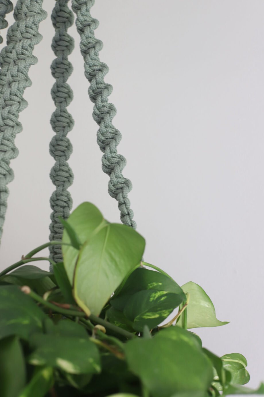 Curso Luminária Floresta